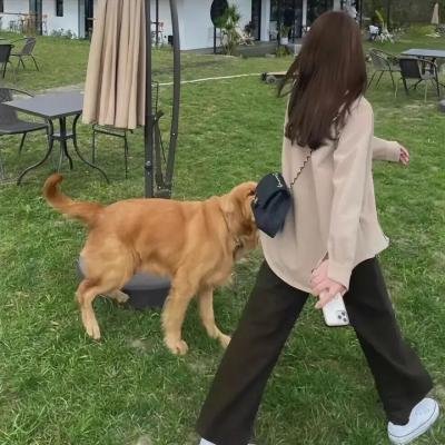 我的名字叫朱莉娅·罗斯